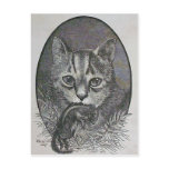 Victorian Cat with Chipmunk Christmas Postcard
