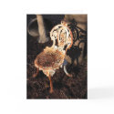 Victorian garden chair cards by metrogirl_paris Victorian garden chair cards