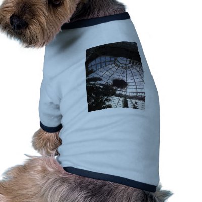 Victorian Glasshouse Pet Clothing by pollop