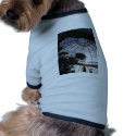Victorian Glasshouse pet clothing