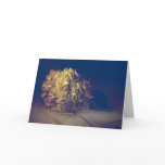 Victorian Hydrangea cards