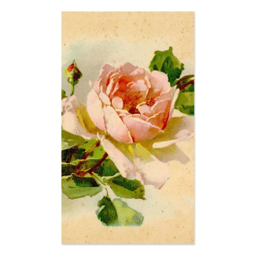 Victorian Pink Rose Business Cards (front side)