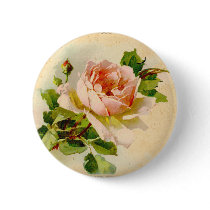 Victorian Pink Rose