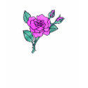 Victorian Rose T-Shirt by MyDreamWedding Victorian Rose T-Shirt