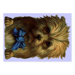 Victorian Style Gift Tags Sweet Old Yorkie Business Cards