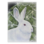 Victoria's Christmas Cards