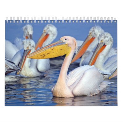 Vida de Kerkini Calendario De Pared Vida de Kerkini Calendario De Pared