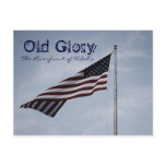 Vidalia, Louisiana Riverfront American Flag Postcards