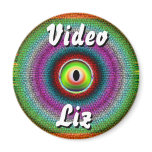 Video Lizard Fridge Magnet