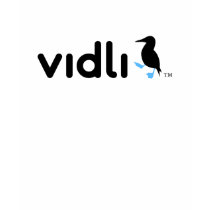 Vidli.com Classic "Booby Babe" Shirt