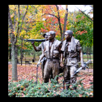 Viet Nam Memorial - Washington D.C. t-shirts
