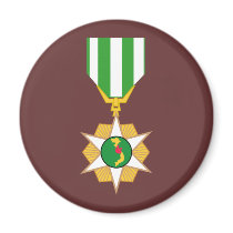 Vietnam Campaign Medal magnets by carlj56 Vietnam Campaign Medal magnets