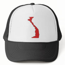 Vietnam flag map hat