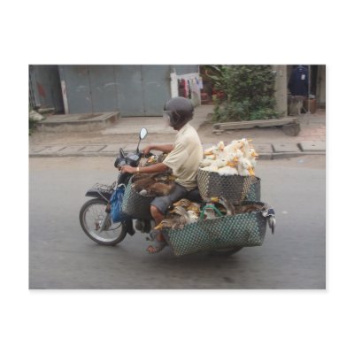 Vietnam Motorbike 3 postcards
