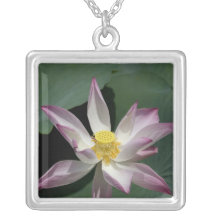 Vietnam, near Saigon) My Tho. Vinh Trang Jewelry