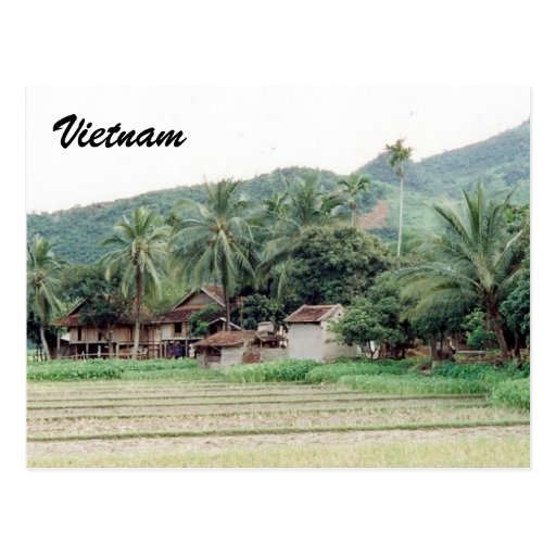 Pošalji mi razglednicu, neću SMS, po azbuci - Page 6 Vietnam_rice_paddies_postcards-r251383e718334551a566e12d8d0d8613_vgbaq_8byvr_512