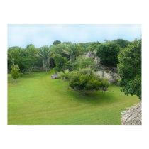 View From A Mayan Pyramid posters