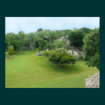 View From A Mayan Pyramid posters