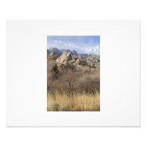 View from Alabama Hills Photo
