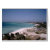 jacqui, carfi, lacarf, aruba, netherlands, island,