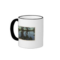 View From Emerald Bay Mug
