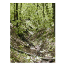 View from Ledges bridge postcards