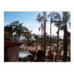 view from my window in Cabo postcard