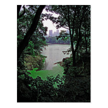 View from Ramble-Central Park Colorized Postcard
