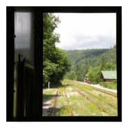 View from screen door print