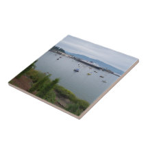 View From Taylor Street Dock Tile