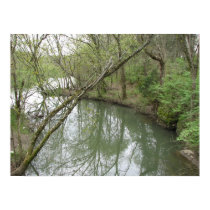 View From the Bridge posters