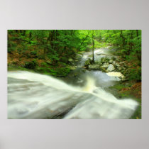 View from the top of Chapel Brook Falls Posters