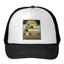 View From The West hats