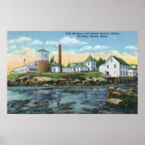 View of a Fish Hatchery, Lobster Rearing Posters