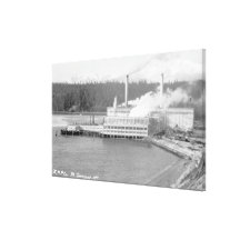 View of a Paper Plant Gallery Wrapped Canvas