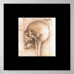 View of a Skull by Leonardo Da Vinci c. 1489 posters