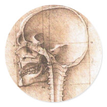View of a Skull by Leonardo Da Vinci c. 1489 Round Stickers