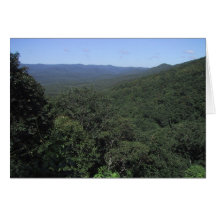 View Of A Valley From An Overlook Cards