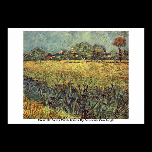 View Of Arles With Irises By Vincent Van Gogh Print
