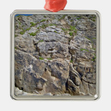 View of Beautiful Mountain with small bushes Christmas Ornaments
