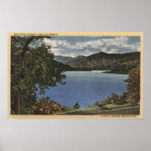 View of Beautiful Shasta Lake Posters