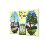 View of Capitol Bldg and Oak Tree Stretched Canvas Print