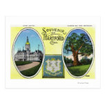 View of Capitol Bldg and Oak Tree Postcard