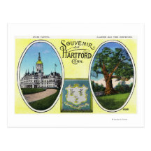 View of Capitol Bldg and Oak Tree Postcard