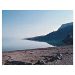 View of Dead Sea from north side, Israel Full Color Flyer