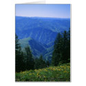 View of Hells Canyon cards