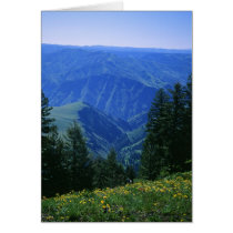 View of Hells Canyon cards by krickerd View of Hells Canyon cards