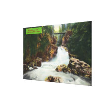 View of Lynn Canyon Falls Stretched Canvas Print
