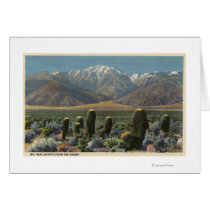 View of Mt. San Jacinto Near Palm Springs Cards