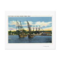 View of Old Shipwrecks in the Harbor Postcards